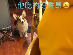 -维卡食舍(户部山店)
