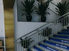 -美可普口腔医院(东街分店)