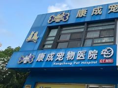 -康成宠物医院24H·CT·核磁共振