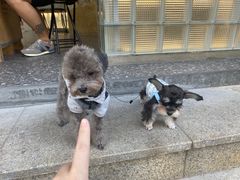 -BE NORMAL CAFE(霞溪路店)