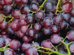玫瑰香葡萄-大连熟食品交易中心