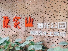 -陈家山荷花公园