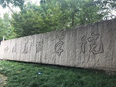 -黄桷坪涂鸦艺术街