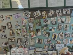 -爱妮康宠物医院·干细胞免疫细胞·肿瘤·心脏(张江店)