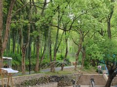 -东明山森林公园