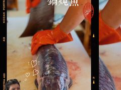 -老刘生态大鱼坊铁锅炖鱼(赛马场店)