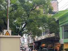 -溪岸路花鸟市场