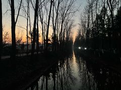 -合肥滨湖国家森林公园