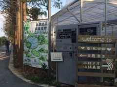 -前小桔亲子创意农场·草莓采摘·露营烧烤