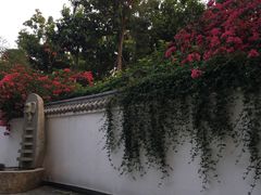 -光明港公园