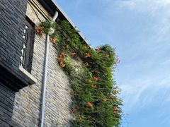 -西檬树SIMON·T轻奢蛋糕(大东方Max店)