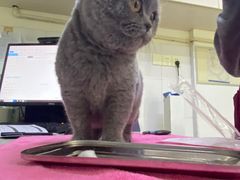 -宠颐生汉谟拉比宠物医院