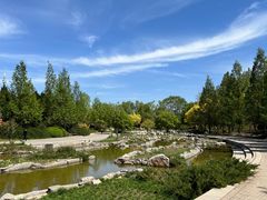 -大望京公园