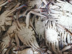 -中国舟山国际水产城