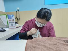 -宠颐生猫科·内科皮肤科(西平世纪城店)