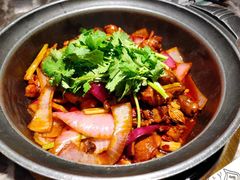 禄审鸡煲-禄婶鸡煲·打边炉