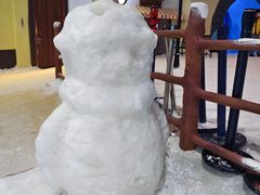 -世界之窗阿尔卑斯冰雪世界