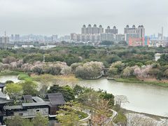 -海珠湖公园