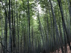 -达蓬山旅游度假区