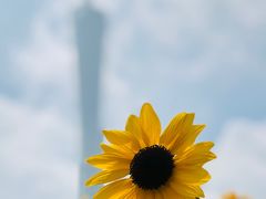 -海心沙亚运公园