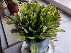 -九月生活(江汉店)