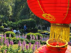 -东莞植物园