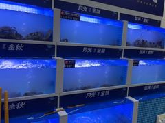 -蟹状元大闸蟹·年货·粽子(成都成华店)