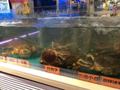 -潮粤香海鲜酒楼(沙湖店)