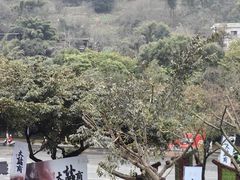 -燊海井