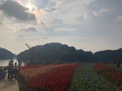 -广州市石门国家森林公园