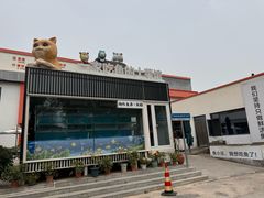 -向外鱼乐·土菜·虹鳟鱼