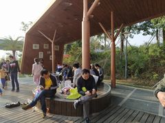 -宝安西湾红树林湿地公园