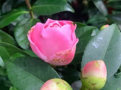 -三旗百汇商品城