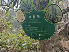 -野象谷景区