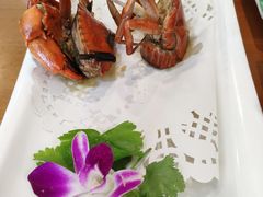 -友强·23年特色海鲜大排档(厦门店)