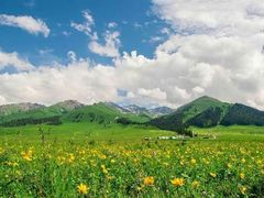 -老街冷水鱼烧烤(河堤夜市店)