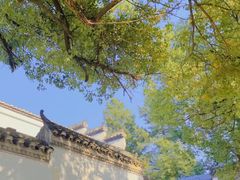 -溪霞怪石岭生态公园