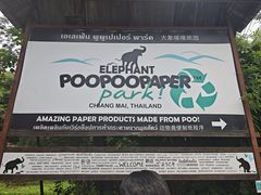 -大象粑粑造纸公园
