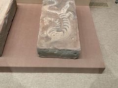 -敦煌市博物馆