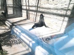 android_upload_pic-石家庄市动物园