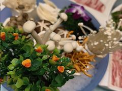 -德龙火锅(松源街直营店)