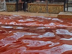 -春晖园度假酒店温泉