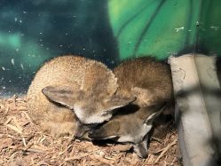 -酷嗒动物文化乐园(cutezoo西溪乐天城店)