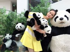 -济州岛泰迪熊博物馆