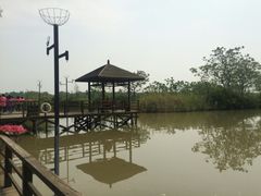 -大湾区中央湿地公园