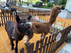 -上海七宝领展广场