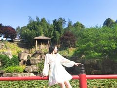 -秀丽东方