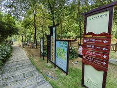 -广州白江湖森林公园