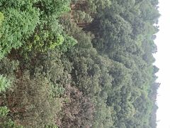 -西游洞风景区
