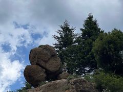 -芦芽山旅游度假区